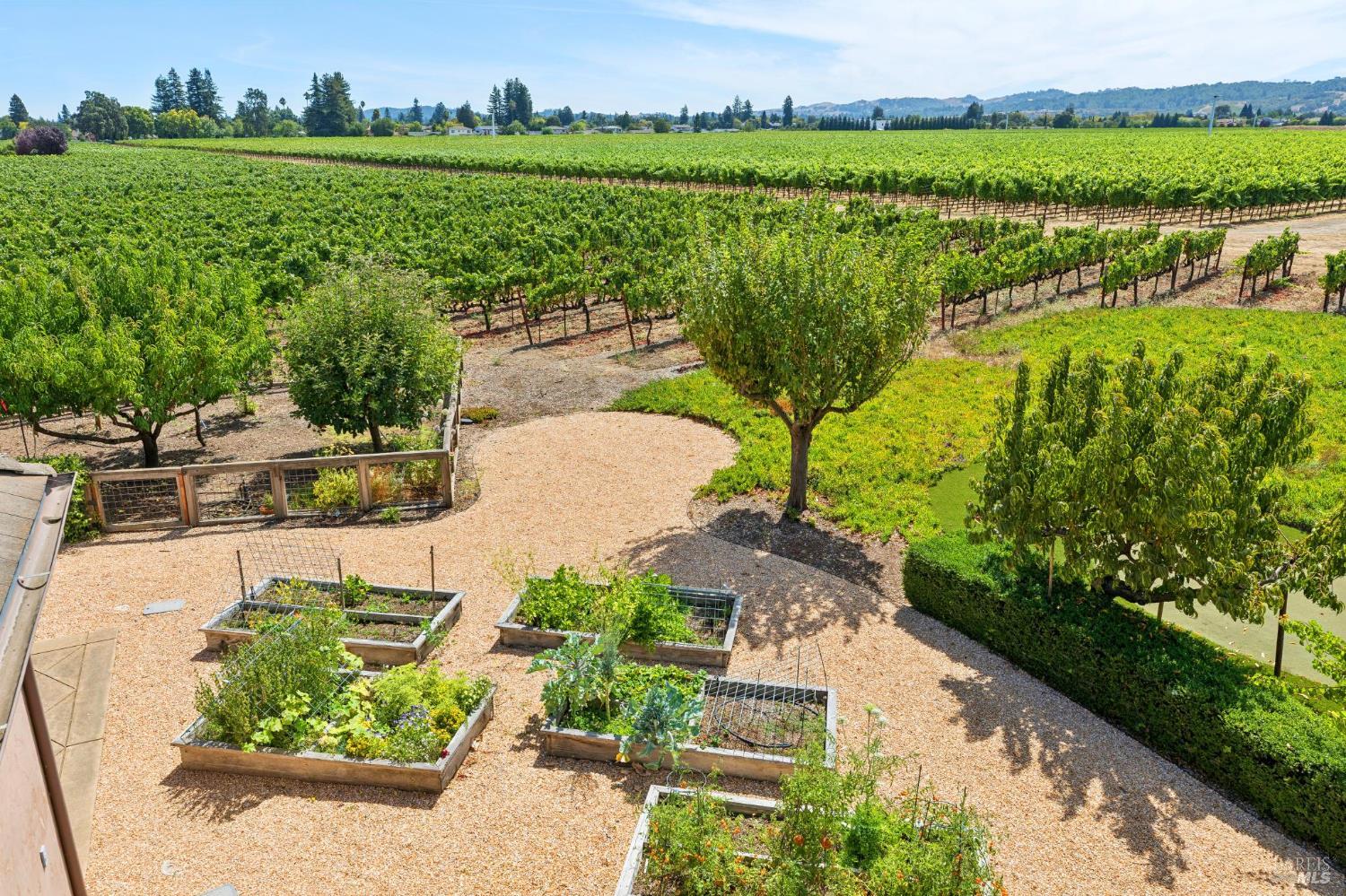 93_img_55HunterRanch | Jill Levy | Jill Levy